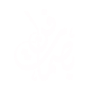 1 4 (2)